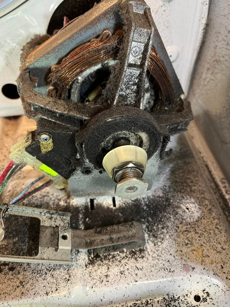 504214953 10236258707398603 1354776797509085706 n